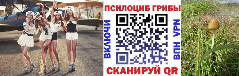 Галлюциногенные грибы Cubensis  купить наркотик  гидра рабочий сайт  Лабытнанги 