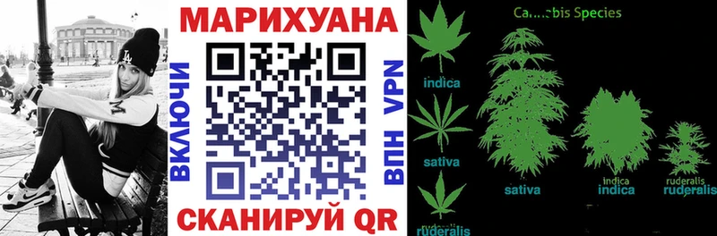 Шишки марихуана план Лабытнанги